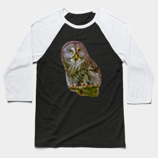 The Phantom of the North - The Great Grey Owl Baseball T-Shirt